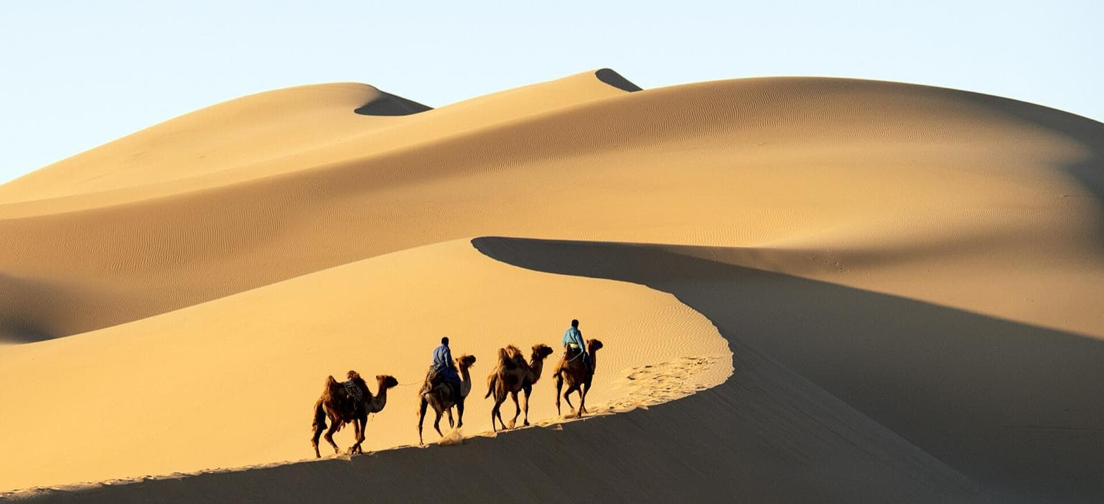 A small camel caravan with riders along the crest of a Gobi sand dune